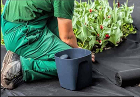 Non Woven Fabric Roll Rotolo di tessuto non tessuto