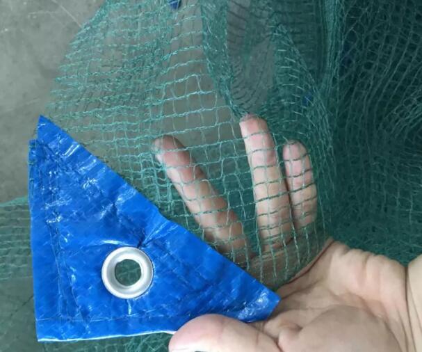 olive net10 rete di ulivi10