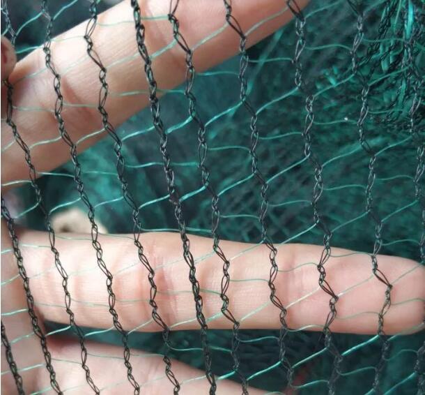 olive net9 rete di oliva9