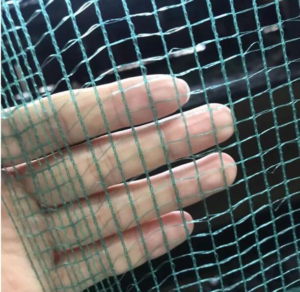 olive net8 rete di oliva8