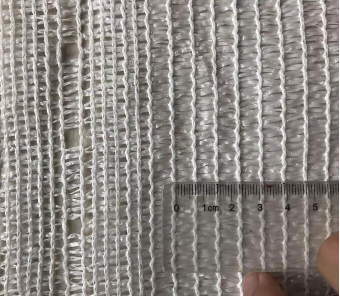 olive net19 rete di oliva19