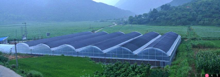greenhouse shade net rete ombreggiante per serra