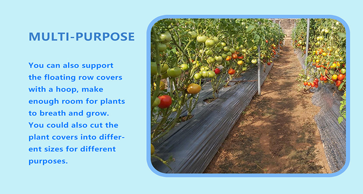 mulch film (8) pellicola per pacciamatura (8)