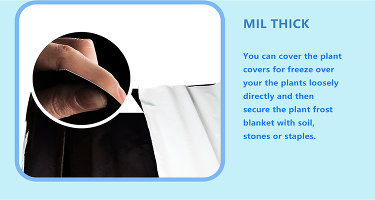 mulch film (7) pellicola per pacciamatura (7)