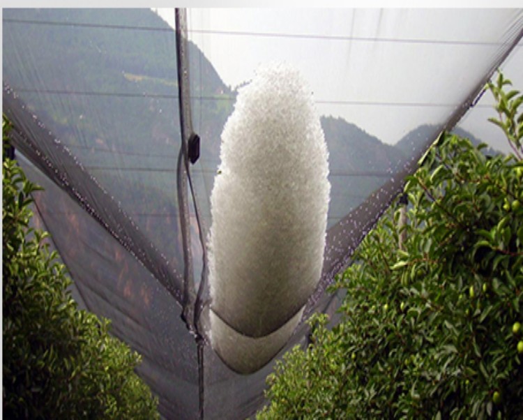 orchard hail netting Rete antigrandine per frutteto