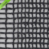 Rete antigrandine quadrata nera da 70 GSM di nuovo stile