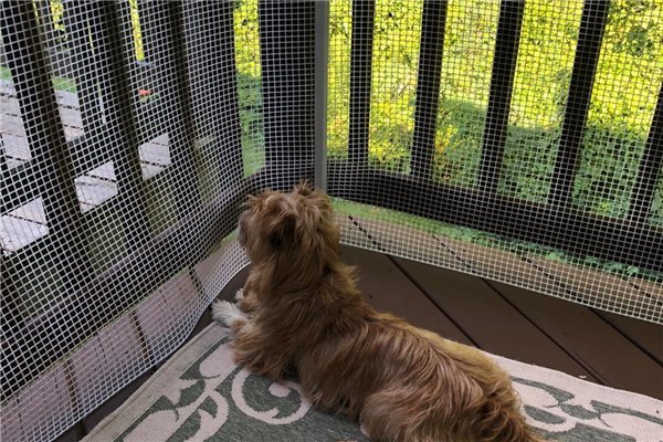 Animali domestici recintare la maglia di plastica bop