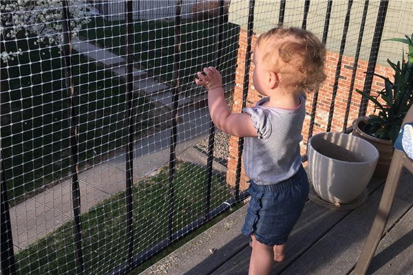 Mesh di estrusione BOP