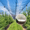 NET AGRICOLTURE HDPE in plastica anti -grandinata netta di grandine bianca 