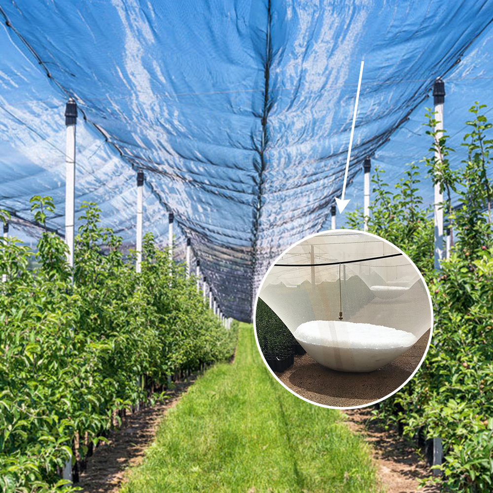 NET AGRICOLTURE HDPE in plastica anti -grandinata netta di grandine bianca 