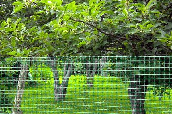 Mesh di plastica BOP