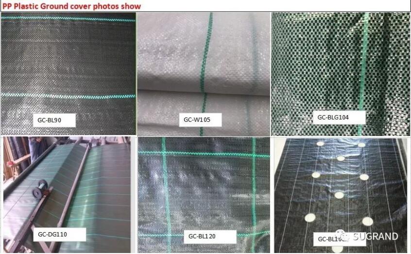 copertura del suolo 2