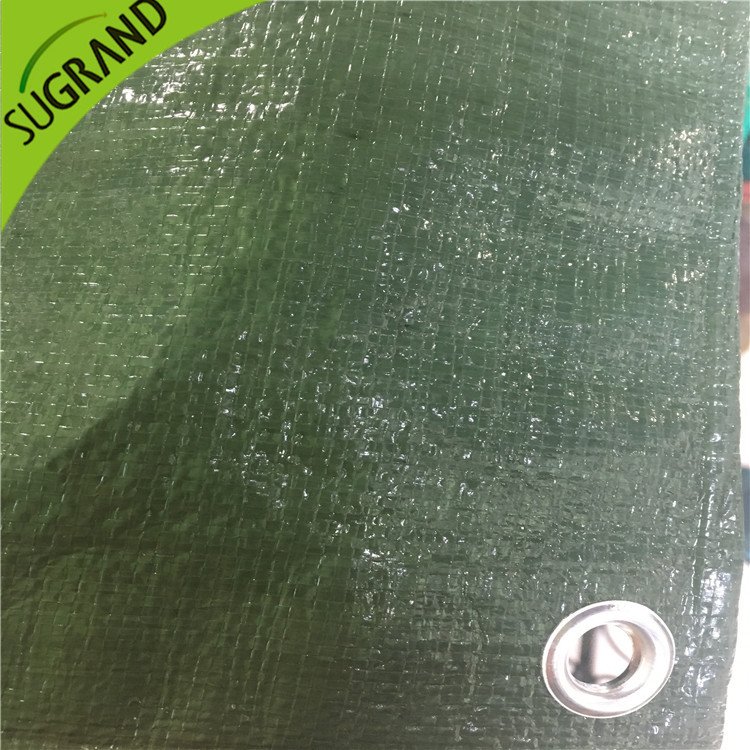 Copertura da terra verde da 150 gsm per giardini