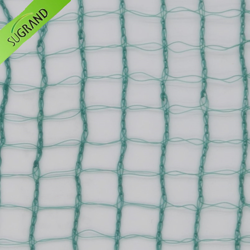 Rete da raccolta verde scuro quadrata da 31 gsm