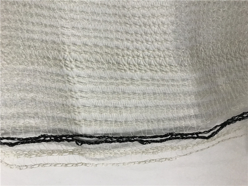 5 anni Garantire la rete di sicurezza dell'impalcatura beige PE