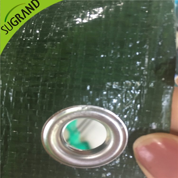 Copertura da terra verde da 150 gsm per giardini