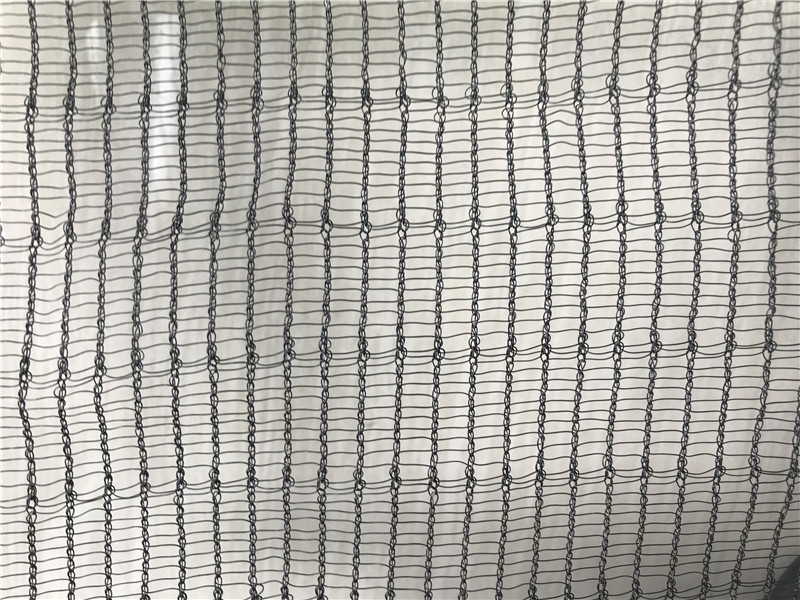 Rete per api—50 miliardi (5)