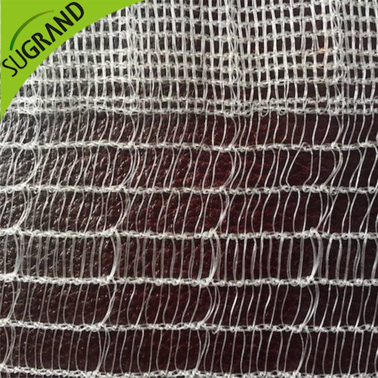 Rete antiape trasparente online