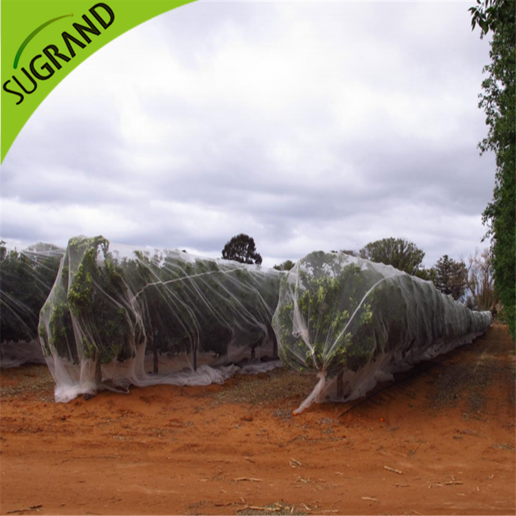 Rete antiape trasparente online