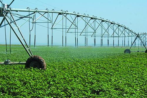 rete di plastica per l'agricoltura 