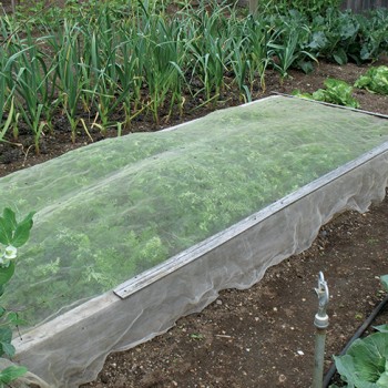 Il fondamento della realizzazione del nonquinamento delle verdure-Anti Insect Net
