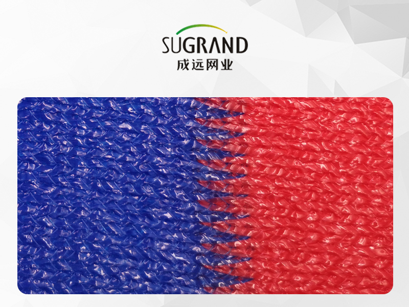 3 colori 200gsm Mono e nastro Sun Shade Net