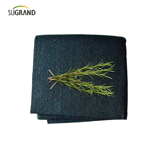 160 GSM Green verde scuro NASCO MONO NASTRA NETTA