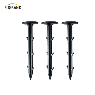 China Factory Factory Qualità in plastica chiodi a terra che fissa il tappetino 