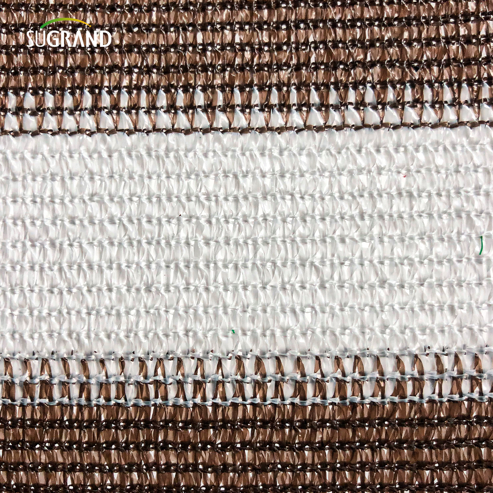 HDPE Dimensione personalizzata Fine Workmanship Filo piatto Balcone Protezione del vento Ricetta