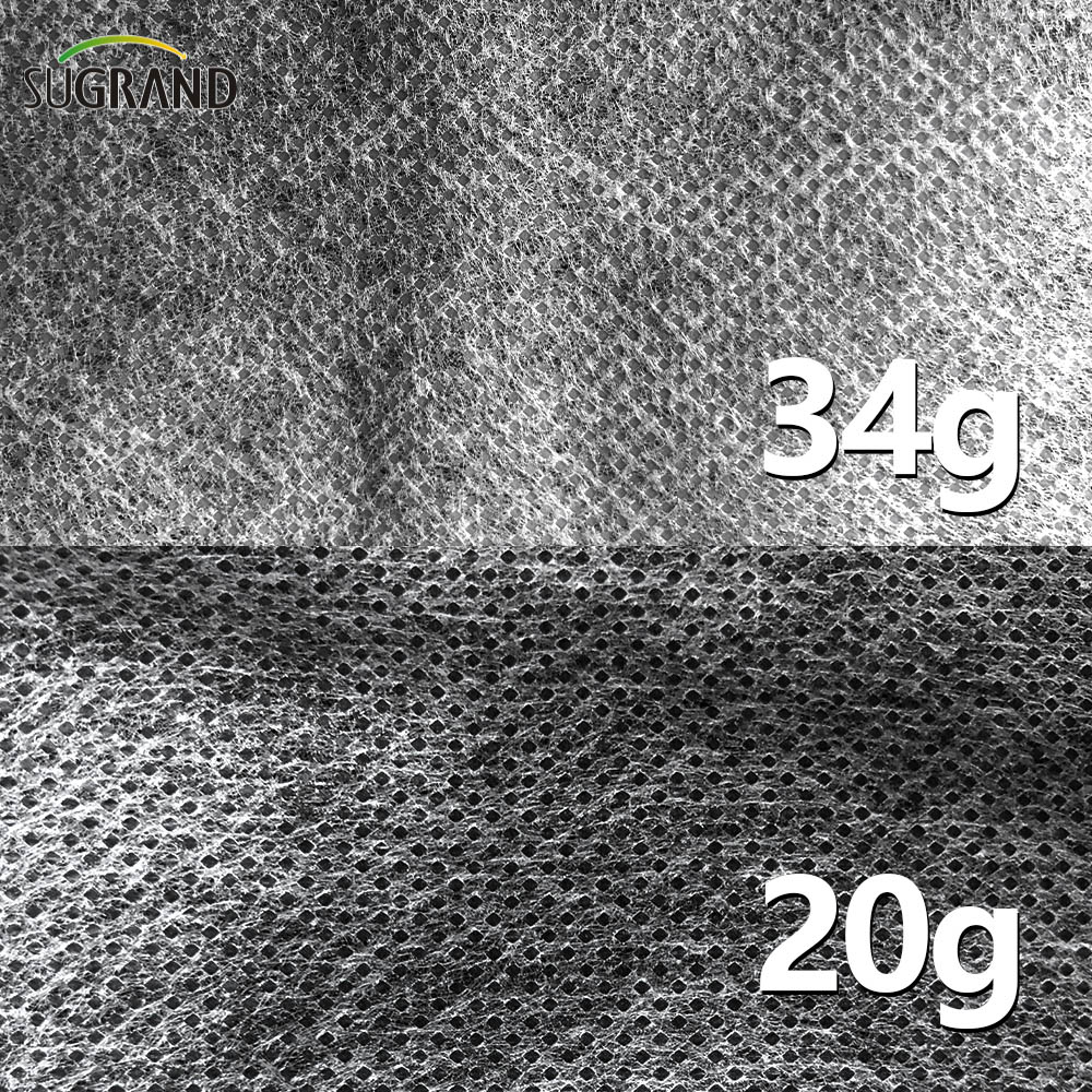 100 g 2x50m agricoltura pp stoffa non tessuta bianca 