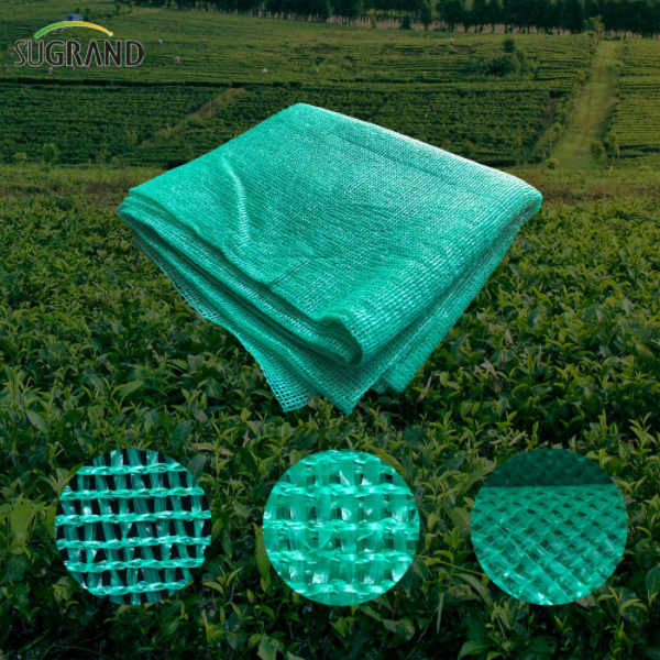 Vendita calda 100% Virgin HDPE Six Needles Mono nastro Green Shade Net
