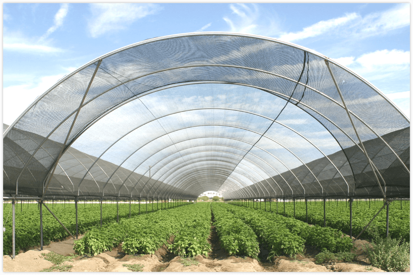 fabbrica di reti ombreggianti