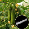 Garden Green White Balck Trellis Plant Support Support Fornitori di rete