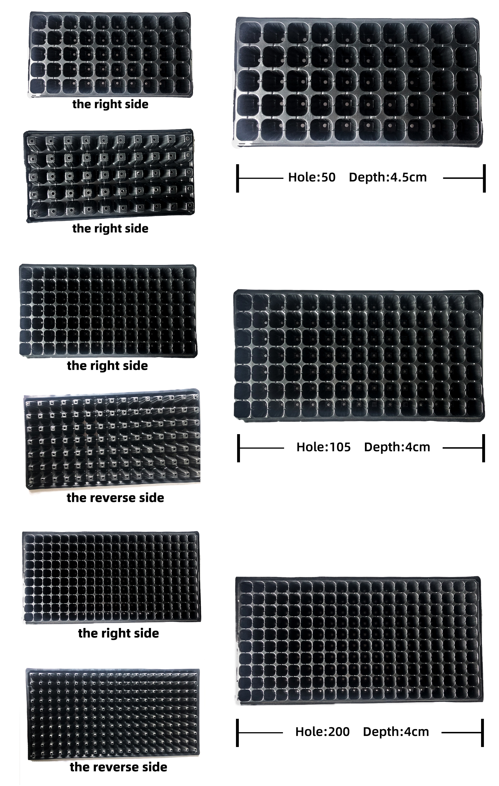 Vassoi per la coltivazione delle piante