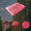 Telaio in rete di impalcature di plastica Tarpaulin trasparente