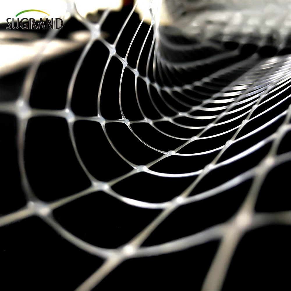 Net anti-uccello estruso bianco 8*8mm per fornitori di reti per uccelli da frutta