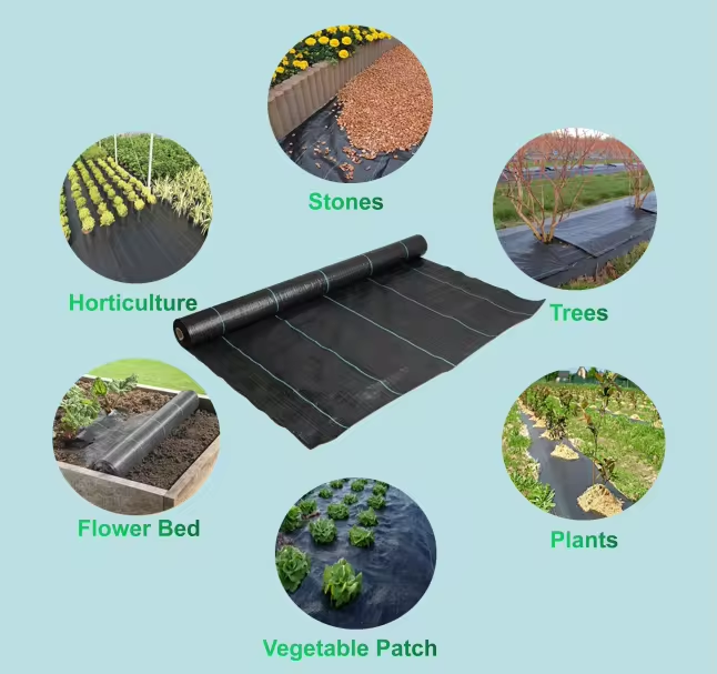 Barriere Weed Wholesale