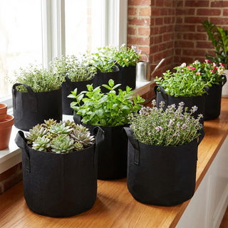 Sacchetti per coltivazione galloni in tessuto non tessuto all'ingrosso