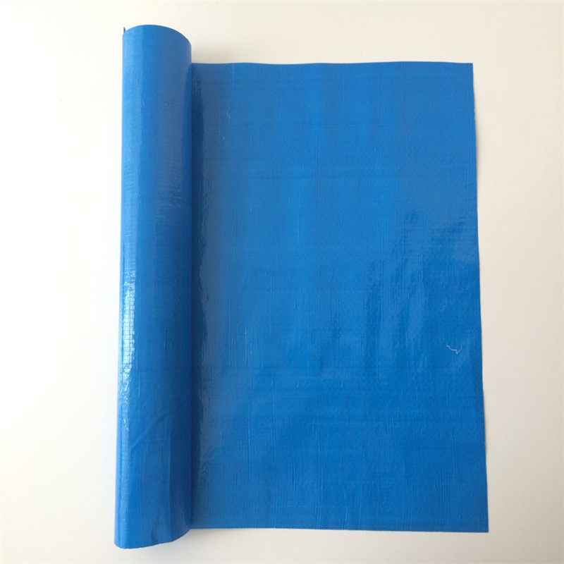 Waterproof Duty Duty Duty PE Talpaulin in plastica