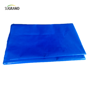 Produttore ad alta resistenza durevole blu impermeabile in PVC Tarpaulin 