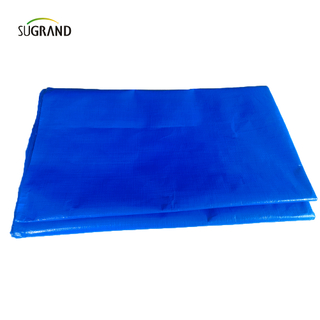 Produttore ad alta resistenza durevole blu impermeabile in PVC Tarpaulin 