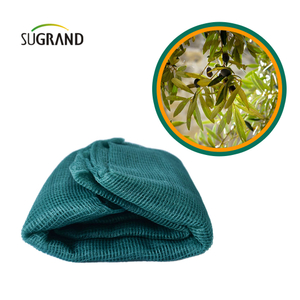 Rete per raccolta frutta fabbricata in fabbrica Rete verde oliva triangolare verde scuro