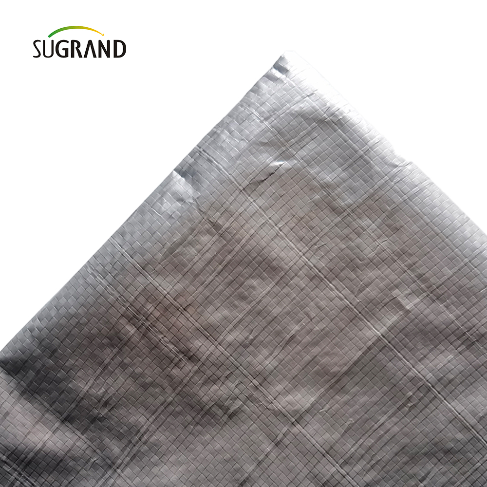 Factory Direct Wholesale White Plastic PE UV Foglio.