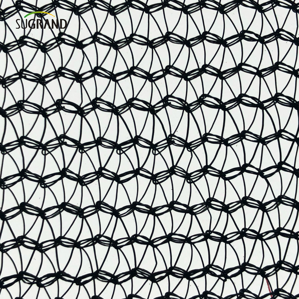 PVC Sicurezza rivestita di sicurezza Messa di sicurezza per la rete di impianto di impalcatura.