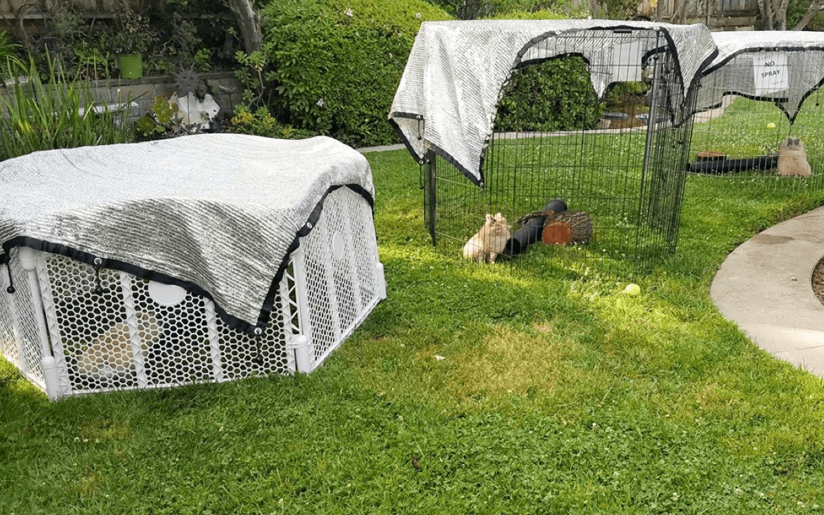 Come misurare per un'ombra a vela