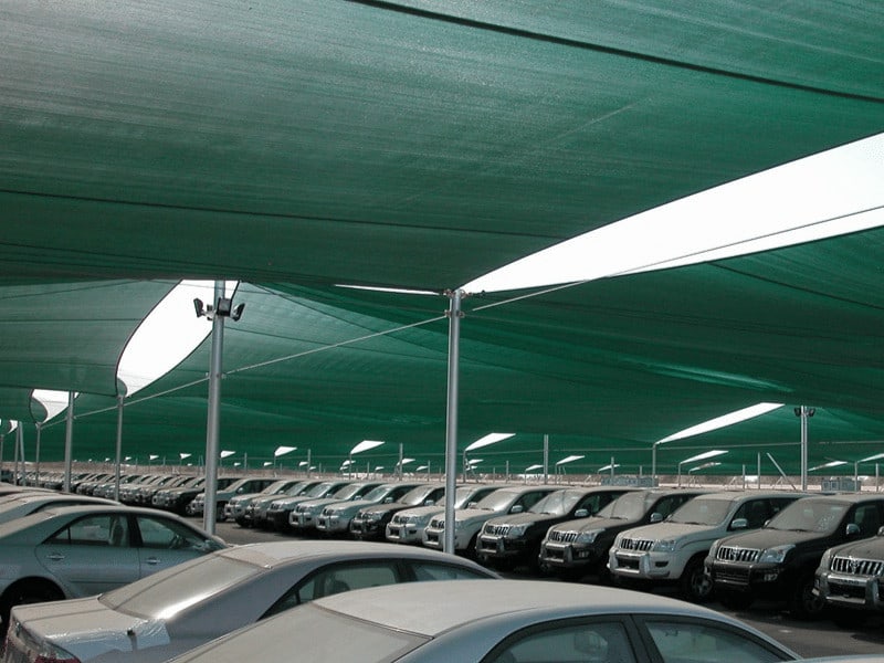 Ormosia di carparti netti