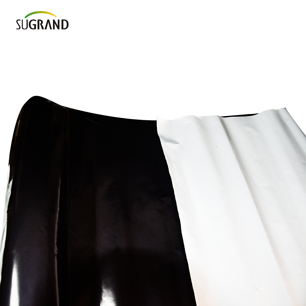 PE GARDER MAT AGRIGULTURA Film di pacciame di plastica