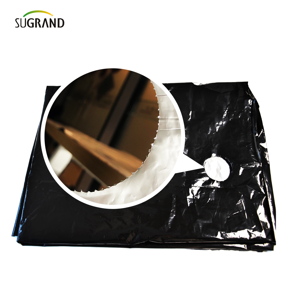 Film di pacciame perforato in plastica Uso di pacciame UV per verdure 