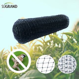 HDPE 200m ESTRUD Anti Bird Net per proteggere la frutta vegetale