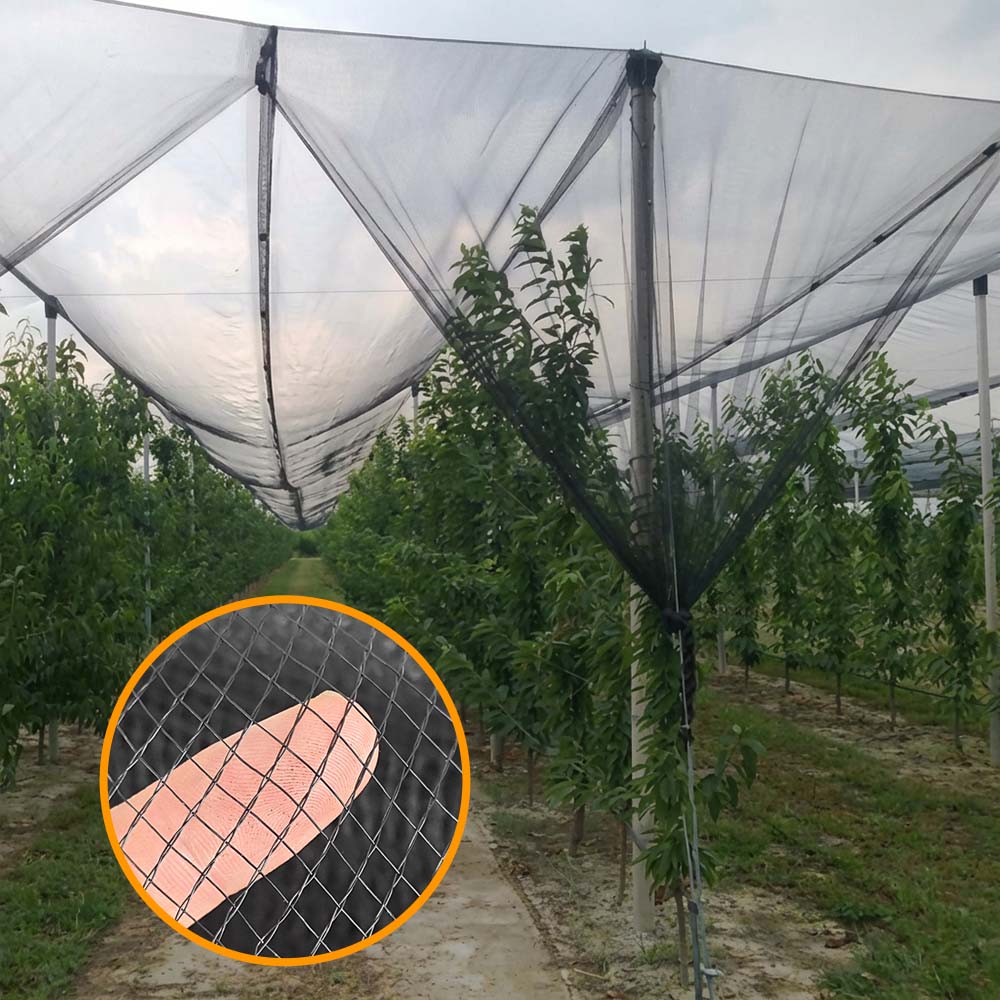 SUGRAND Rete Antigrandine per Frutteti Agricoli